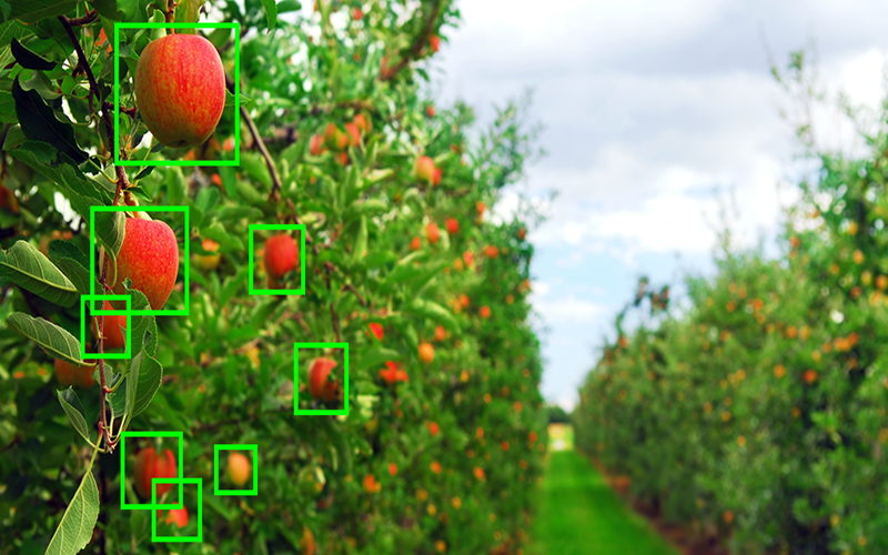 smart camera in agriculture دوربین کشاورزی هوشمند
