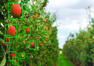 smart camera in agriculture دوربین کشاورزی هوشمند